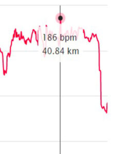 news11 Febbraio 2022 2